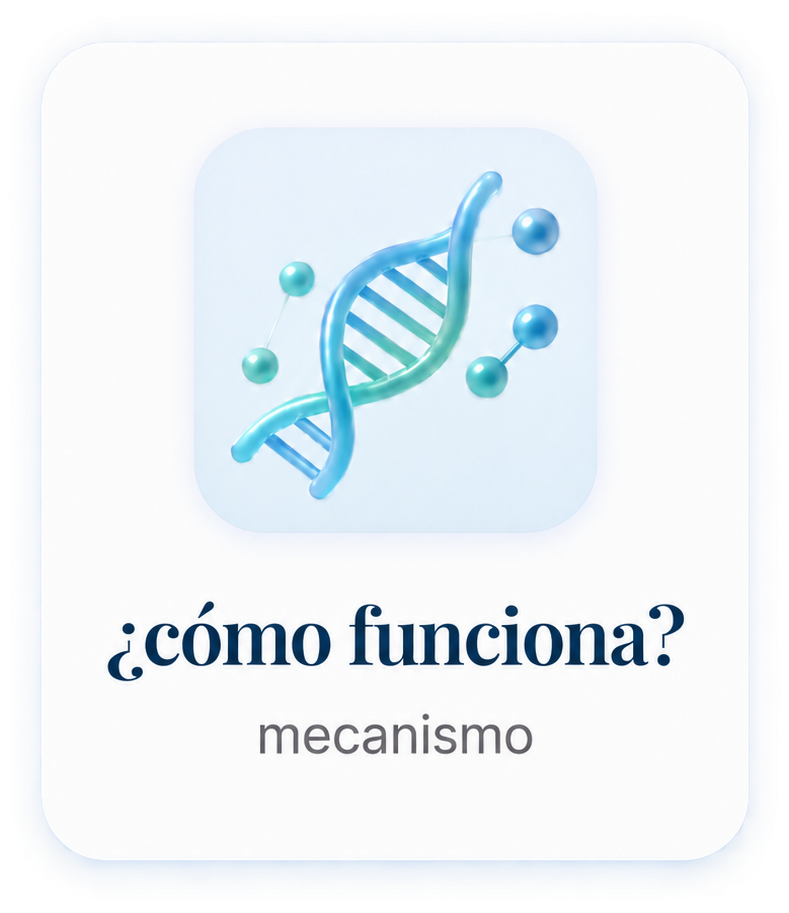 ¿Cómo funciona? Mecanismo